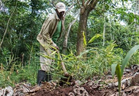 Sectores con alta generación de empleos pagan salarios más bajos