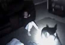 VIDEO: Un policía de EE.UU. dispara a un perro y hiere a una niña de 9 años (18+)