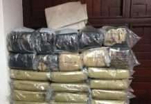 Policía ocupa más de 100 libras de marihuana durante operativos