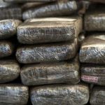 NUEVA YORK: Policía ocupa alijo marihuana valorado más US$1 MM