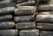 NUEVA YORK: Policía ocupa alijo marihuana valorado más US$1 MM