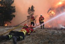 Dominicanos Alto Manhattan preocupados por incendios en Los Ángeles