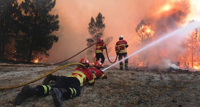 Dominicanos-Alto-Manhattan-preocupados-por-incendios-en-Los-Ángeles-viven-familiares-1023x550