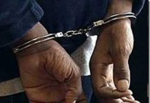 Apresan haitiano hirió de machetazo dominicano en Enriquillo