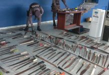 Policía Nacional ocupa más de 200 armas blancas y de fuego durante el mes de agosto en la Romana
