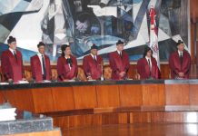 TC puede modificar artículos de la nueva Ley de Partidos