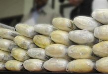 COLOMBIA: Autoridades capturan pilotos pedidos por justicia de RD