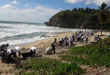 República Dominicana retira toneladas desechos de 96 playas y ciento seis ríos