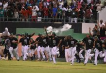 Estrellas, Licey, Leones y Toros inician este jueves el round robin