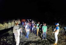 EL CESFRONT Detienen 25 haitianos caminaban en fila hacia pueblos de RD