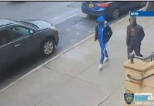 Policía del Bronx persigue delincuentes acosan dominicanos en NY