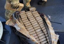En el sureste de Puerto Rico fueron apresados dos dominicanos con 1.480 kilos de cocaína