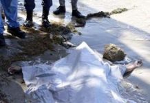 Hallan cadáver de mujer en el Malecón de Puerto Plata; Residía en EEUU
