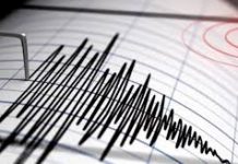 Se registra temblor de tierra en gran el gran santo domingo y en varias parte del país