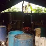 Se elevan a 203 los muertos por el consumo de triculí y clerén