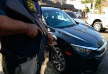12 vehículos robados fueron recuperados por la P.N; 5 de ellos con chasis alterados