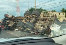 Patana se accidenta en autopista Las Américas
