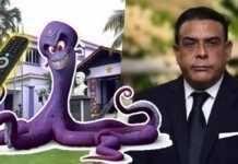 El Pulpo Medina dice desde que perdió el PLD no ha tenido paz