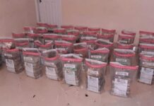 Autoridades decomisan 232 paquetes drogas en playa Barbacoa de Miches