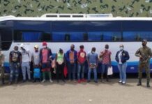 Detienen a 141 haitianos durante recientes operativos e Incautan vehículos