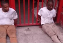HAITI: Matan 4 presuntos asesinos del Presidente