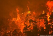 En el noreste de Atenas, Continúa por tercer día la lucha contra el incendio forestal