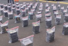 DNCD ocupa 510 paquetes de cocaína cerca costa La Altagracia