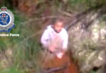 Fue rescatado a niño de 3 años tras 4 días desaparecido en un bosque