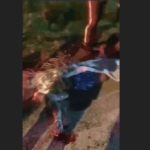 VÍDEO: Hombre pierde la vida en un accidente en San Juan