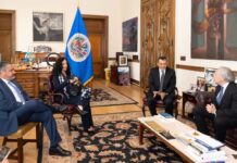 Comisión de la JCE se reúne en la OEA y aborda temas de paridad y financiamiento político