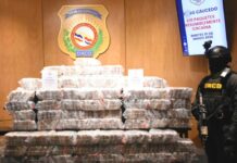 DNCD ocupa 233 paquetes de cocaína en el puerto Caucedo