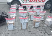 DNCD ocupa 140 paquetes de cocaína que se enviarían a Bélgica