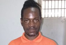 Policía Nacional apresa ciudadano haitiano irrespetó en Tiktok al presidente Abinader