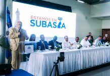 Bienes nacionales realizará subasta este viernes