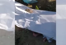 Hallan 6 cadáveres recién nacidos frente cementerio Cristo Salvador