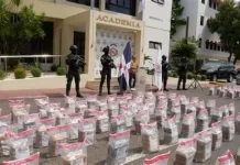 ¿En RD solo se incauta cocaína y marihuana?