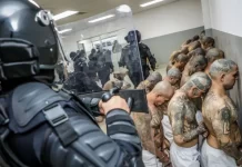 ONG denuncian 415 muertes bajo custodia estatal en cárceles de El Salvador durante el régimen de excepción