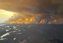 Canadá en emergencia: incendios forestales fuerzan evacuaciones masivas en comunidades indígenas
